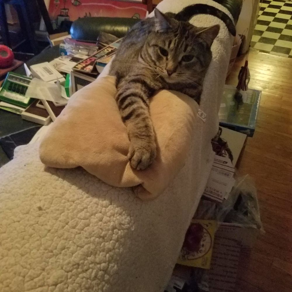 Meet your Posher, Paul